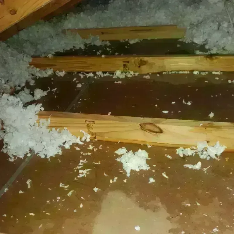 Attic Water Damage in Fredonia, NY